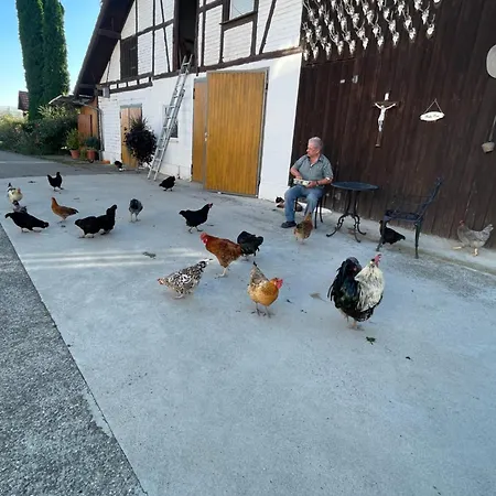 Apfelchalet Mirabell -neubau Chalet, Natur, Alpenblick, Wallbox, Messe Und Nah, Ruhe In Laendlicher Umgebung フリードリヒスハーフェン
