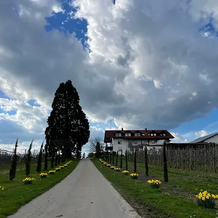 Apfelchalet Mirabell -neubau Chalet, Natur, Alpenblick, Wallbox, Messe Und Nah, Ruhe In Laendlicher Umgebung アパート