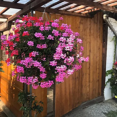 Apfelchalet Mirabell -neubau Chalet, Natur, Alpenblick, Wallbox, Messe Und Nah, Ruhe In Laendlicher Umgebung * フリードリヒスハーフェン