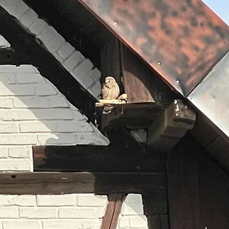 Apfelchalet Mirabell -neubau Chalet, Natur, Alpenblick, Wallbox, Messe Und Nah, Ruhe In Laendlicher Umgebung